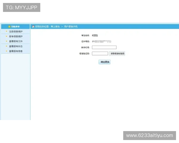 全面解析白菜网站大全及手机验证流程